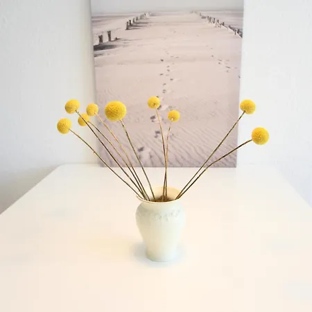 Lale Am Hospizplatz * لانغيوغ