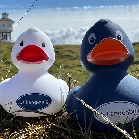 Lale Am Hospizplatz شقة لانغيوغ